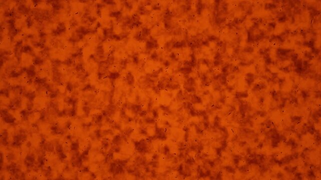 Abstract orange and red textured surface with organic grain patterns suitable for a looping background.