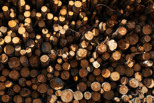 stack of wood