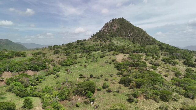 Green valley with mountain rocky peak aerial drone view