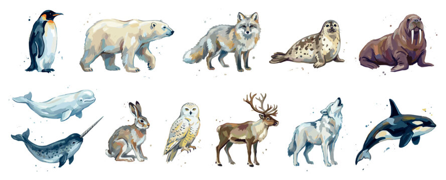 Arctic animals icons set. Wildlife and nature concept. Includes emperor penguin, polar bear, arctic fox, spotted seal, walrus, beluga whale, narwhal, arctic hare, snowy owl, caribou, arctic