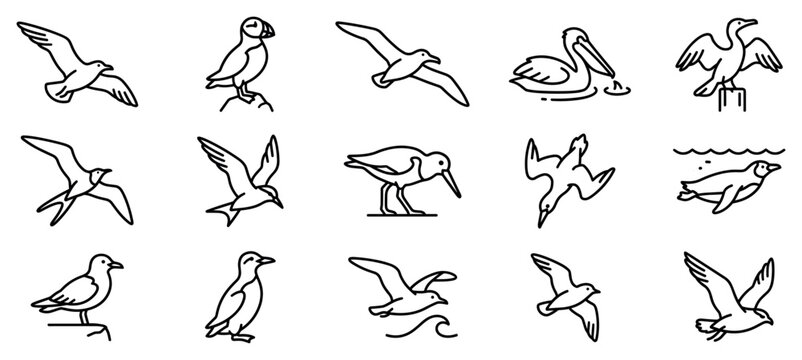Seabird icons set. Marine and coastal wildlife concept. Includes flying gull, puffin, pelican, cormorant, tern, sandpiper, diving bird, swimming penguin. Flat and line style