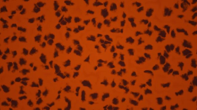 A seamless looping background features scattered dark abstract shapes on an orange texture.