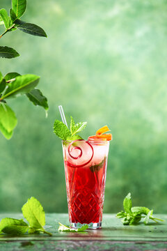 Rhubarb gin and tonic  long-drink cocktail