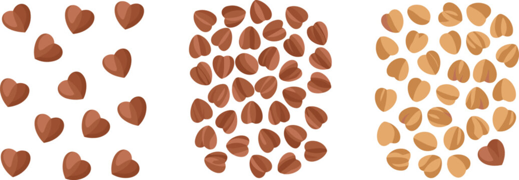 Buckwheat grains flat vector illustration collection. Scattered raw groats, dense seed piles, and roasted brown kernels form a healthy organic agriculture asset.