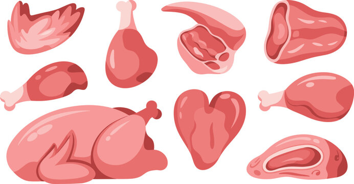 Meat products flat vector illustration set. Whole raw chicken, drumsticks, steak cuts, wing, and heart shape form a fresh butcher shop collection.