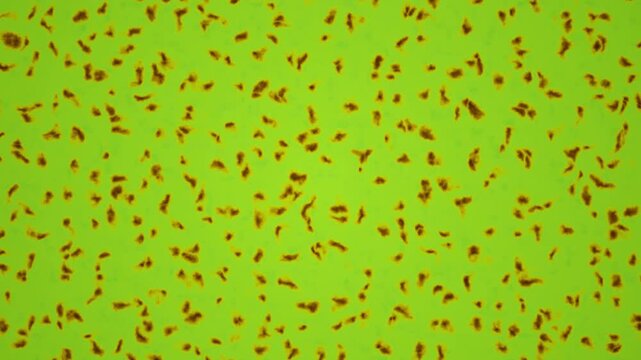 Abstract biological texture with scattered organic shapes on a green background