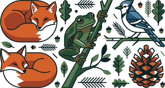 Vector illustration collection of forest wildlife including sleeping foxes green frog and blue jay bird