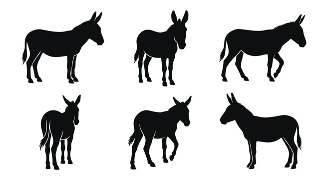 Six detailed black donkey silhouettes arranged in a clean grid showing various natural standing poses
