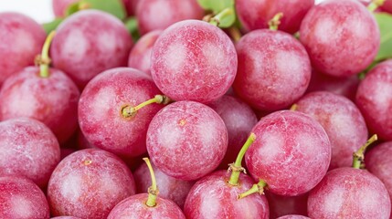 Obraz premium Red grapes clustered with stems in closeup view