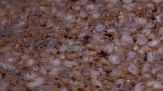 Close-up of dark whole grain rye bread slices rotating on a white plate, showcasing their rich grain texture and healthy crust under studio lights.