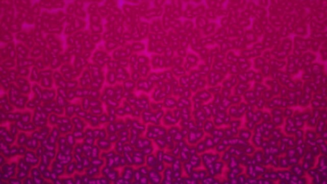 A vibrant pink and purple loop of densely packed geometric shapes forming a seamless background pattern.