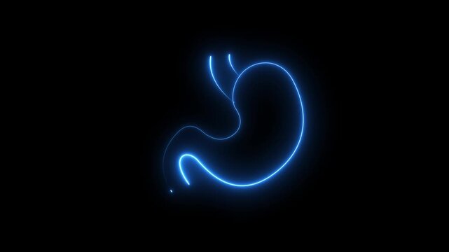 Human Stomach Layout: Abstract Futuristic Gastroenterology Health Symbol, Internal Organ Protection Icon, and Biology Outline for Tech Presentation 4k motion garphcs..