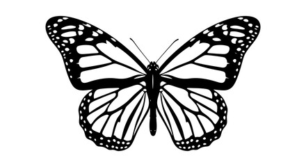 Monarch Butterfly Silhouette Against White Background Detailed Wing Pattern Silhouette © sakib