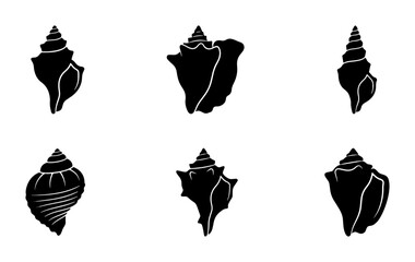 Six Black Seashell Silhouettes, Marine Life Icons, Ocean Beach Elements, Nautical Vector Graphics © Krishna