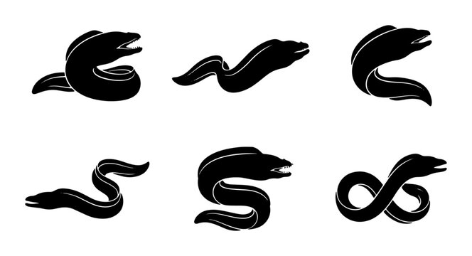 Black Silhouette Eel Icons Set, Marine Life Vector Graphics, Underwater Creature Collection