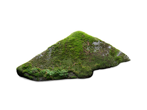 A large rock covered with green moss on a white background.