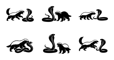 Obraz premium 70 Honey Badger vs Cobra Confrontation Icons, Wildlife Animal Fight Vector Set, Aggressive Nature Battle Illustrations, Black and White Graphic Elements 100