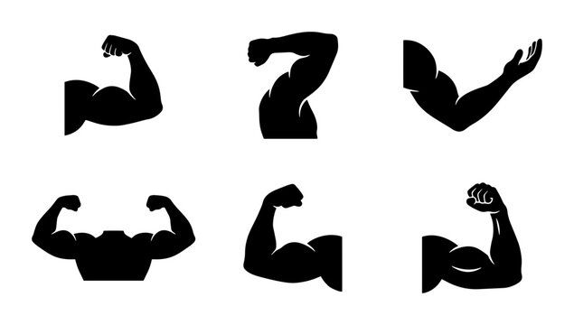 70 Set of Six Muscular Arm Silhouettes, Flexing Biceps Icons, Strength and Fitness Vector Graphics, Bodybuilding Poses, Workout Symbols 100