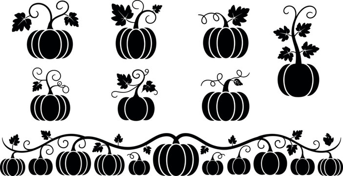 Pumpkin silhouette vector set with leaves and vine border isolated on white background for autumn crafting