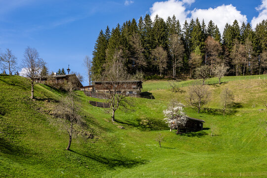original farms on a hillside in a meadow in the Tyrolean Windautal valley with blue sky and white clouds
