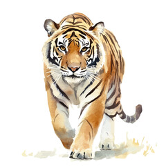 Fototapeta premium Tiger, beautiful watercolor illustration with vivid colors and detailed vector style, isolated on a white background.