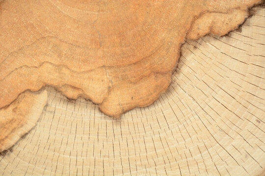 real wood grain