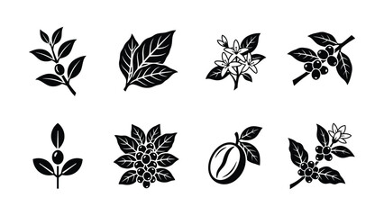 Black and white botanical leaf and berry illustrations © MdSaiful