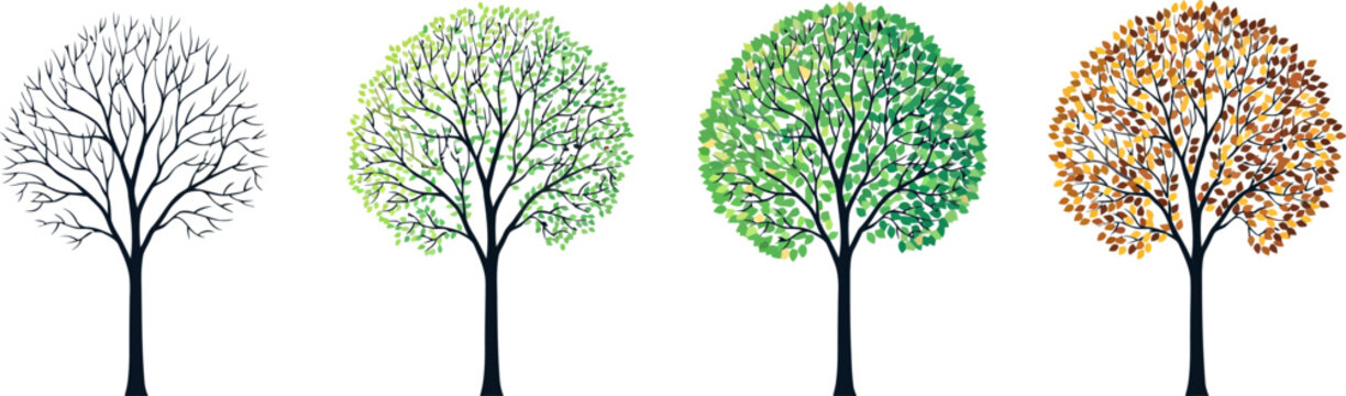 Four trees representing seasonal changes winter spring summer and autumn