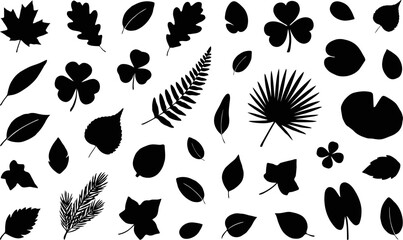 Black silhouette collection of diverse leaves and botanical elements © RIMON