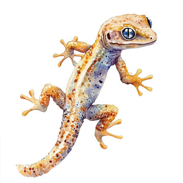 watercolor graphic of Gecko, isolated on a white background.