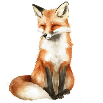 Fox, vibrant watercolor vector illustration with flowing and detailed brush strokes, isolated on a white background.