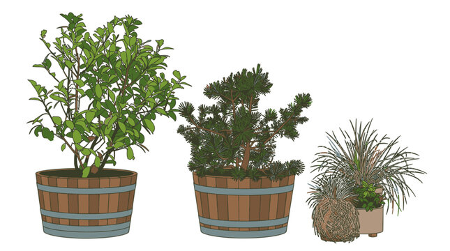 Conjunto de tr&ecirc;s vasos de plantas decorativas com diferentes esp&eacute;cies de folhagens verdes e arbustos, isolados em fundo branco para design de interiores e paisagismo.