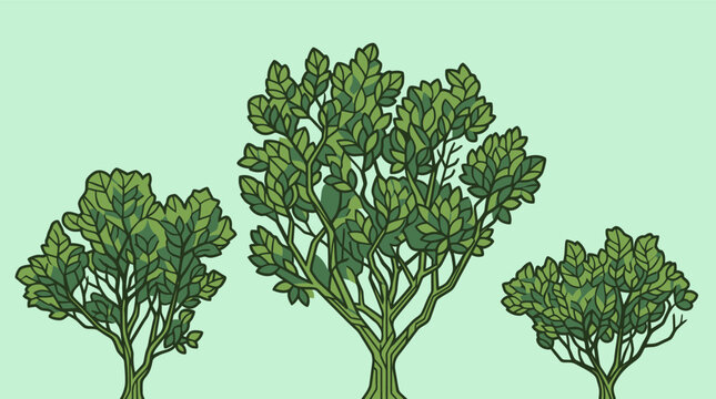 Illustration vectorielle de trois arbres verts stylis&eacute;s avec des feuilles d&eacute;taill&eacute;es sur un fond vert clair, parfaits pour des projets de design graphique et de nature.