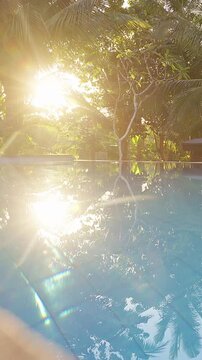 Vertical video. Golden sunlight shining across a tropical swimming pool surrounded by lush vegetation. Reflections on calm water and warm tones evoke feelings of relaxation, wellness, escape, and luxu