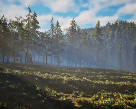 Meadow with grass and ferns in a misty dense forest with fir trees under a cloudy sky. 3D render.