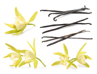 Obraz premium Vanilla pods and orchid flowers isolated on white, set