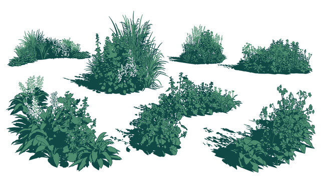 Conjunto de diversos arbustos y plantas verdes aisladas sobre fondo blanco, ideales para dise&ntilde;o de paisajes, arquitectura y composici&oacute;n de jardines en proyectos de dise&ntilde;o gr&aacute;fico profesional.