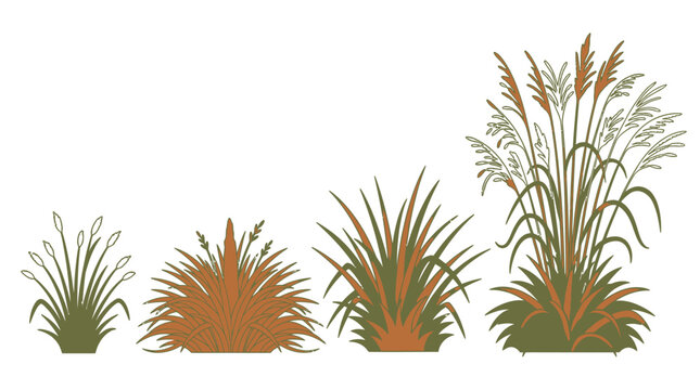 Conjunto de ilustraciones vectoriales de plantas ornamentales y hierbas silvestres con tonos tierra, ideales para dise&ntilde;o de paisajes, jardiner&iacute;a y elementos decorativos de naturaleza.