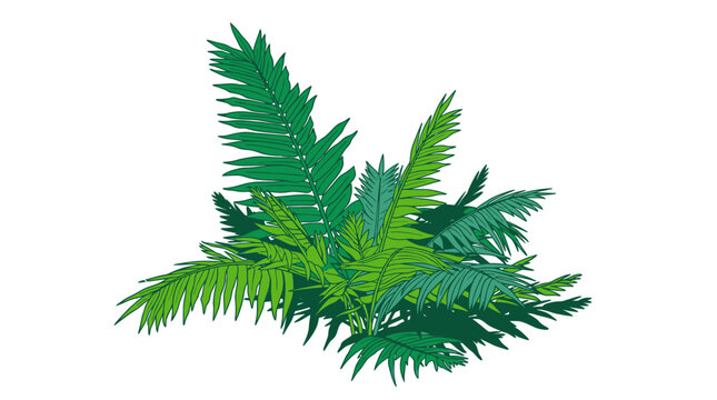 Ilustraci&oacute;n vectorial de una planta de helecho tropical con hojas verdes detalladas aislada sobre un fondo blanco puro, perfecta para dise&ntilde;os bot&aacute;nicos y decorativos.