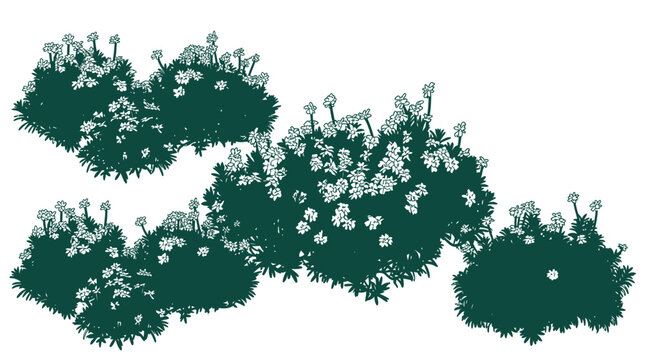 Ilustraci&oacute;n vectorial de arbustos verdes con flores blancas peque&ntilde;as sobre un fondo blanco, ideal para dise&ntilde;os de jardiner&iacute;a, paisajismo y elementos decorativos de naturaleza.