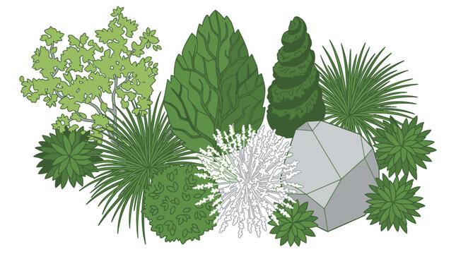 Ilustraci&oacute;n vectorial de un dise&ntilde;o de jard&iacute;n moderno con arbustos variados, plantas ornamentales y una roca decorativa sobre un fondo blanco limpio para proyectos de paisajismo.
