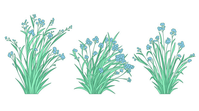 Conjunto de tres ilustraciones vectoriales de plantas silvestres con flores azules y hojas verdes alargadas sobre un fondo blanco aislado para dise&ntilde;o gr&aacute;fico