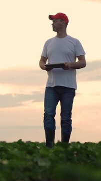 Agriculture, Farming efficiency with technology, Sunset over farmland, Sustainable agriculture concept, Man standing in green field, Eco-friendly farming, Technology for rural development, Observing