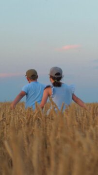Child kids running through wheat field, run children group boy girl wheat field, agriculture, friends outdoors, people nature, family outdoor game ideas, boy and girl playing together, children's