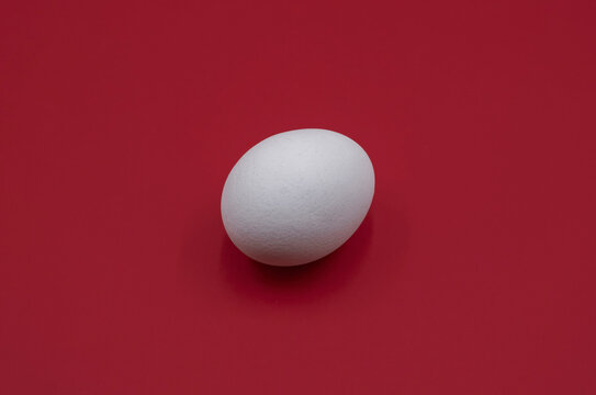 White chicken egg on red background. A clean minimalist composition. Ideal for food, nutrition, cooking, Easter, agriculture, advertising, packaging, and educational concepts.