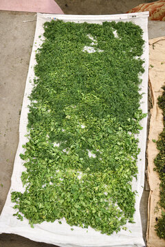 Chopped herb. Osh Bazaar, Bishkek, Kyrgyzstan