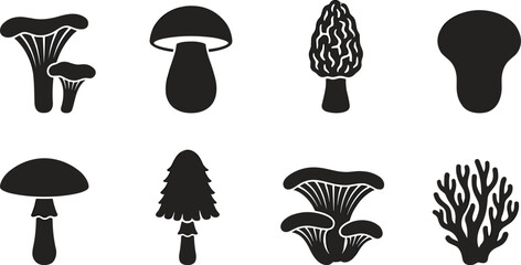 Set of black edible mushroom silhouettes including chanterelle boletus morel shaggy mane oyster fungus and coral mushroom © Mst Shamima