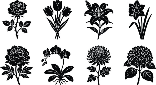 Elegant Floral Silhouette Icon Set Featuring Detailed Rose Tulip Lily Daffodil Peony Orchid Chrysanthemum and Hydrangea Stems