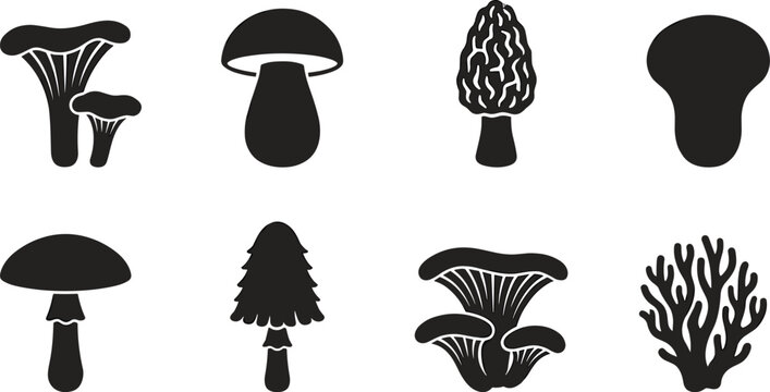Set of black edible mushroom silhouettes including chanterelle boletus morel shaggy mane oyster fungus and coral mushroom
