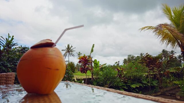Timelapse of Fresh Coconut Drink on Outdoor Table With Fast Moving Clouds Above Lush Tropical Garden Creating Relaxing Vacation Atmosphere